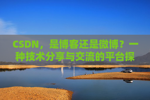 CSDN，是博客还是微博？一种技术分享与交流的平台探讨